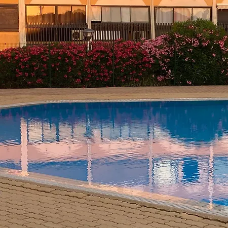 Purple Secret Naturiste *