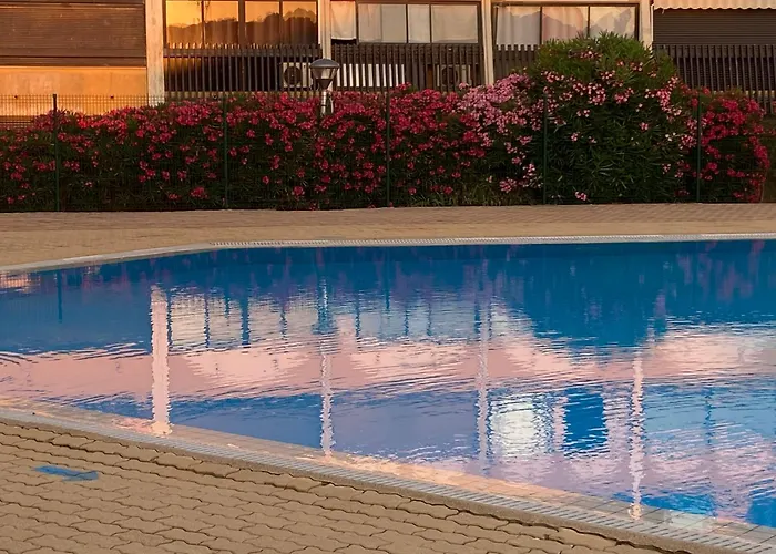 Purple Secret Naturiste *